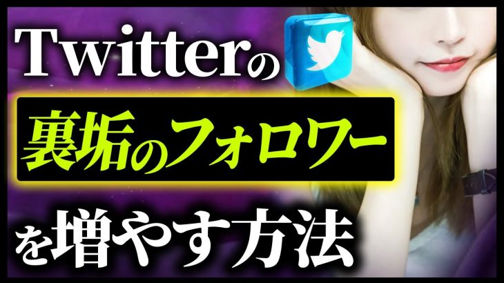 Twitterの裏垢のフォロワーを増やす方法