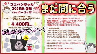 【キャンセル分の再販開始】コウペンちゃんの2023ハッピーバックの2次販売【急いで!!】るるてあ/こうぺんちゃん/正能量企鵝