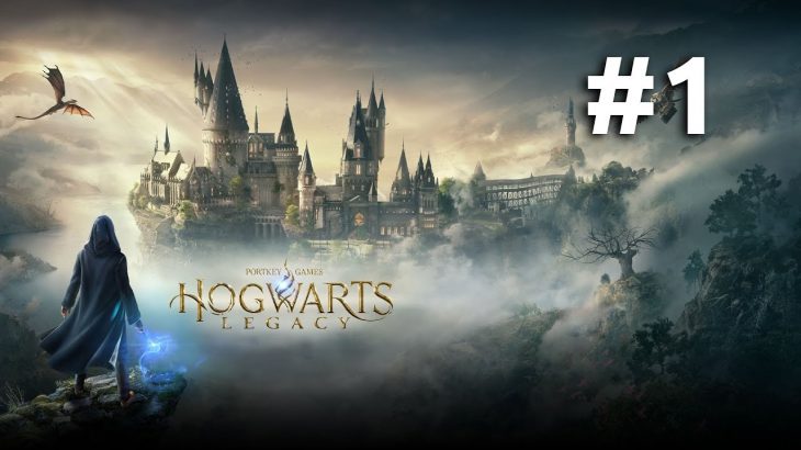 Hogwarts Legacy – Pc Max Setting 4K Rtx 3080 #1
