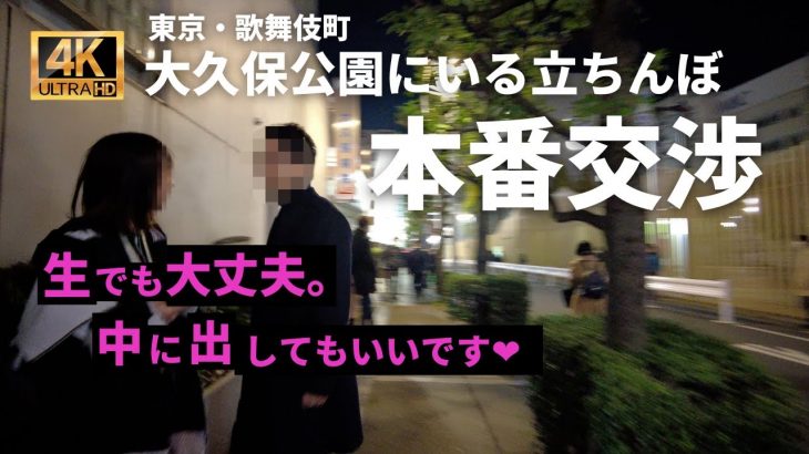 【夜の大久保公園】立ちんぼとガチ交渉！パパ活女子のリアルな現状が凄すぎる【４K撮影】