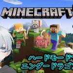 【マイクラ】ハードモードでエンダードラゴンを倒せる？？ゆっくりのんびりプレイ「動画説明欄を見てね♪」#111