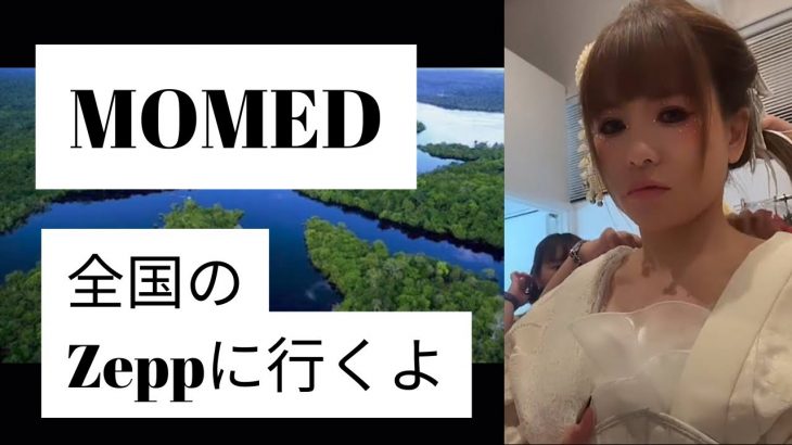 【happyちゃん】MOMED Zeppツアー　　　　　　#happyちゃん #happy理論 #ハッピーちゃん #momed