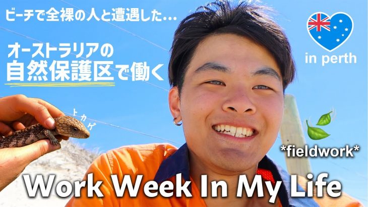 【オージーと仕事】自然保護区で仕事してたら全裸おじさんに遭遇した｜A Week in the Life of an Environmental Field Officer｜Vlog#45