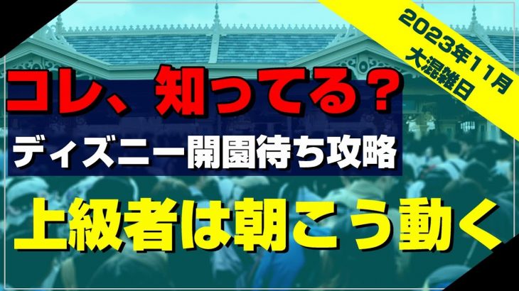 【劇的に変わる】ディズニーランド6:45到着からの入園時間と10時までの最適な楽しみ方！：11月12月クリスマス対応