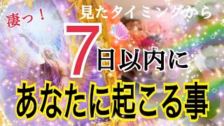 【凄い展開来ます❗️😳】見たタイミングから7日以内にあなたに起こる事🔮⚡️個人鑑定級タロット占い