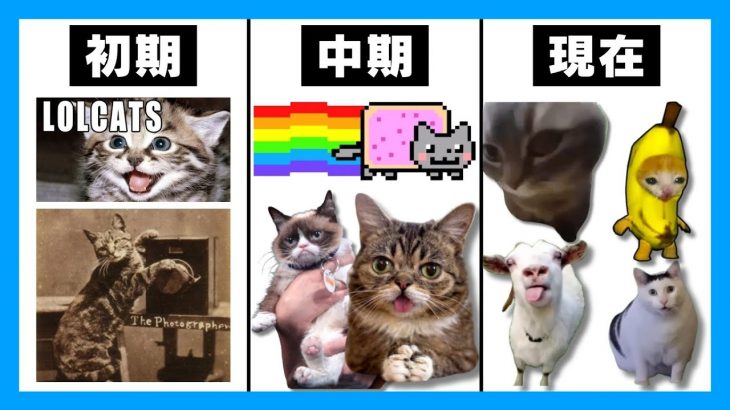 【2024年再ブーム】猫とネットミームの歴史を徹底解説。【猫ミーム/猫meme】