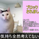 【マッチングアプリ】マッチング・出会い系あるある#猫ミーム