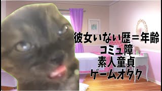 結婚相談所に入会した恋愛弱者　#猫マニ  #猫ミーム