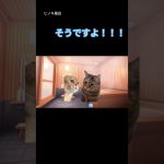 【実話】4万円使って初めてデリ⚫️ヘル頼んでみた。  #マッチングアプリ #婚活 #猫ミーム 猫ミーム