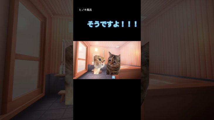 【実話】4万円使って初めてデリ⚫️ヘル頼んでみた。  #マッチングアプリ #婚活 #猫ミーム 猫ミーム