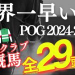 【POG】世界一早いPOG2024-2025「BIG4クラブ」入厩馬全29頭を紹介【競馬】サンデー/キャロット/シルク/社台