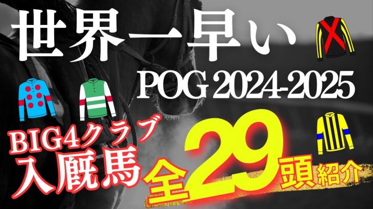 【POG】世界一早いPOG2024-2025「BIG4クラブ」入厩馬全29頭を紹介【競馬】サンデー/キャロット/シルク/社台