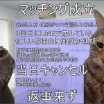 【マッチングアプリ】もうここまで来たら病気です【猫ミーム声有り】