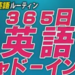 英語365日シャドーイング✨#毎朝英語ルーティン Day 225⭐️Week33⭐️500 Days English⭐️リスニング&ディクテーション 英語聞き流し