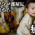 色んな子にぎゅうしてくれました✨【ノーカットBGM無し天使】