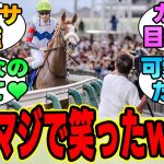 『テンハッピーローズのファンサが独特すぎるｗｗｗ』に対する競馬民の反応集