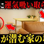 【要注意！今すぐ見て】本当に危険！この時期〇〇だとダニが大発生します！このままだと運気を全て吸い取られます！