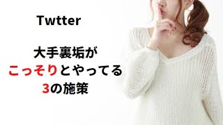 【本当は言いたくない】Twitter裏垢でこっそりと大手裏垢がやってる3の施策