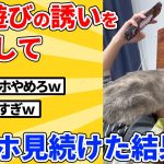 【2ch動物スレ】遊びたい猫を無視してスマホ触り続けた結果ｗｗｗｗｗ