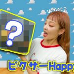 【神引き！】ピクサーのHappyくじで大神引きしました！！！！