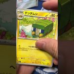 最新弾ステラミラクルがヤバすぎた #pokemontcg #ポケモン #ポケカ