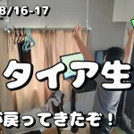 セミリタイア生活2年目 FIRE VLOG / 株価が戻って資産も増えてハッピーな１週間