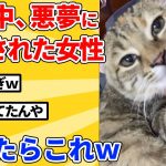 【2ch動物スレ】悪夢にうなされ続けた後、起きたらまさかの光景ｗｗｗｗｗ