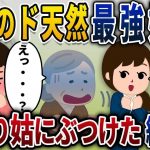 【2ch修羅場スレ】  私の双子のド天然最強妹をいびり姑にぶつけた結果ww【2ch修羅場スレ・ゆっくり解説】