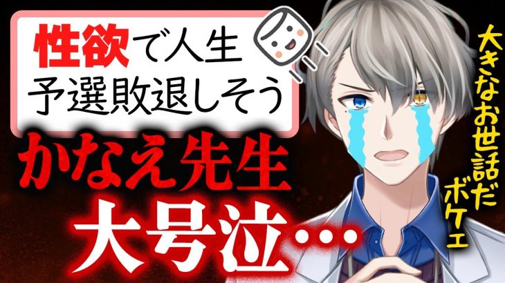 【性欲で人生予選敗退】突然ポリコレの淫棒を振り回すかなえ先生にスパチャでビンタするリスナー【かなえ先生切り抜き】Vtuber　フワちゃん　やすこ　誹謗中傷