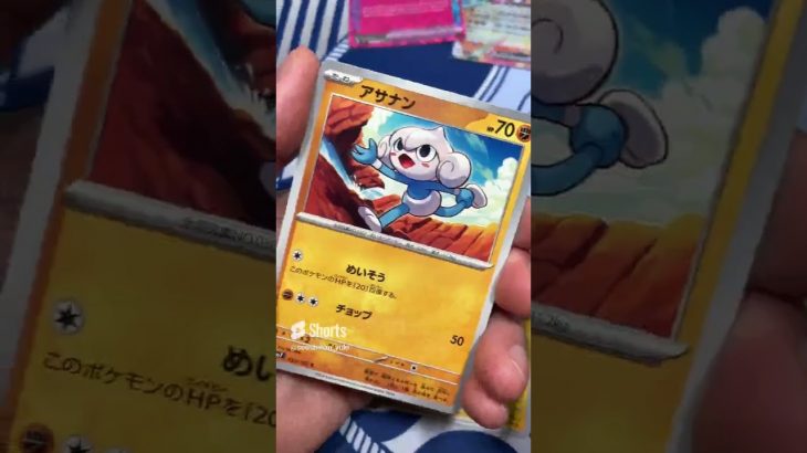 最新弾ステラミラクルがヤバすぎた #pokemontcg #ポケモン #ポケカ