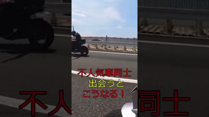 不人気車同士が、出会ってしまった時こうなる！#shorts