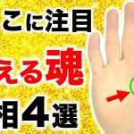 【手相】怒りがモチベーション！第一火星丘の炎える手相４選