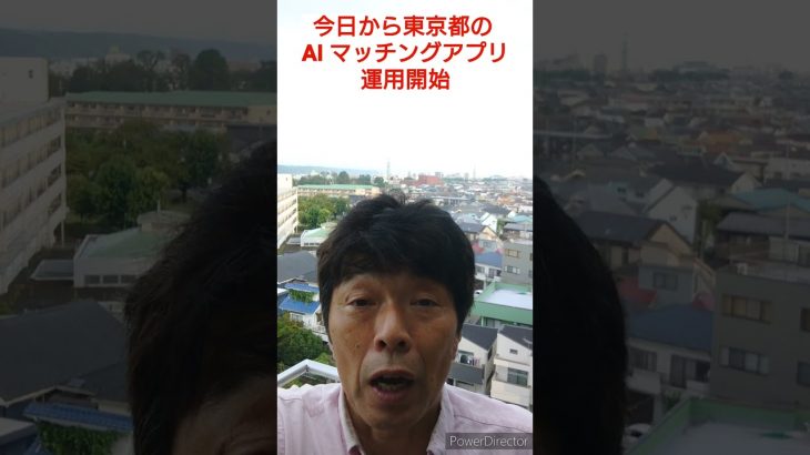 八王子市 結婚相談 婚活 おすすめ 方法 マッチングアプリ #shorts