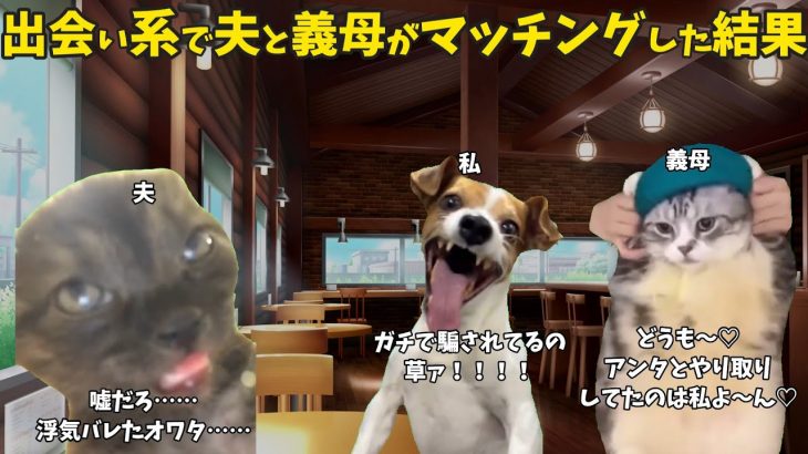 出産直後から出会い系アプリで遊ぶ夫を実家から追い出した話【猫ミーム】