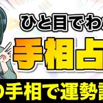 【手相占い】左手の手相が示す意味とは？自分の性格＆運勢を診断したい人は要チェック【独身アラサーOLの日常】