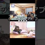 【マッチングアプリ】初デートあるある #猫ミーム