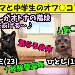 男子中学生と美人シングルマザーの禁断のオフパコ愛が悲惨すぎる結末に…【猫ミーム】【猫マニ】