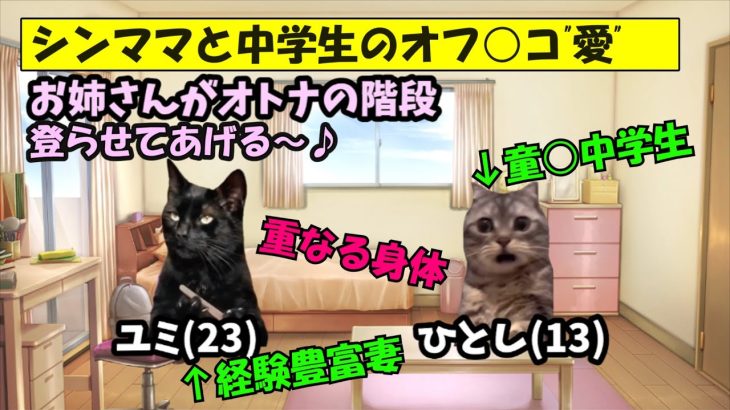 男子中学生と美人シングルマザーの禁断のオフパコ愛が悲惨すぎる結末に…【猫ミーム】【猫マニ】