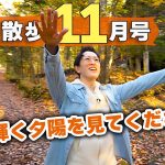 【感動の景色！！】11月上旬の旧軽井沢はどんな様子？地元民がお散歩しながら見どころを解説します！