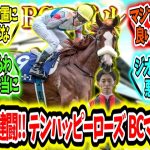 『マジ夢見た!?テンハッピーローズBCマイル4着大健闘‼』に対するみんなの反応【競馬の反応集】