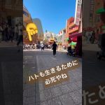 考察系の動画見ると出会い系アプリの広告ばかりくるんだが泣#ボヤキ #phonk