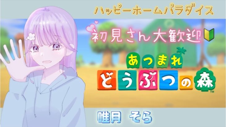 【あつまれどうぶつの森】ハッピーホームパラダイスで遊ぶようおおおおおおおおおおおお！！！【ゆる雑】