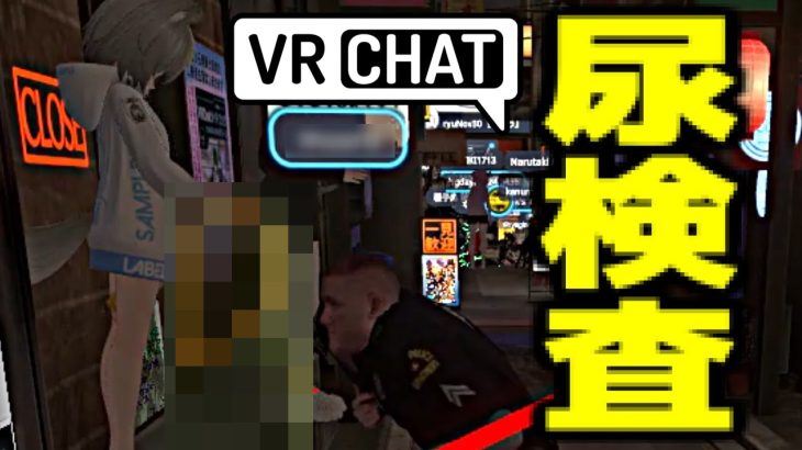 【洗礼】VRChatを始めた女の子が毎秒セクハラされ尿検査まで要求される無法な街に迷い込んだw 【VRChat】【ポピー横丁】