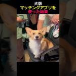 犬版マッチングアプリを使った結果