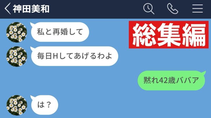 【LINE】昔はモテていた42歳女社員の末路www【総集編・作業用・睡眠用】